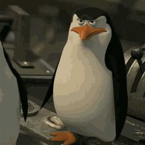 The perfect Angry Mad Penguin Animated GIF for your conversation. Discover and Share the best GIFs on Tenor. Tenor.com has been translated based on your browser's language setting.